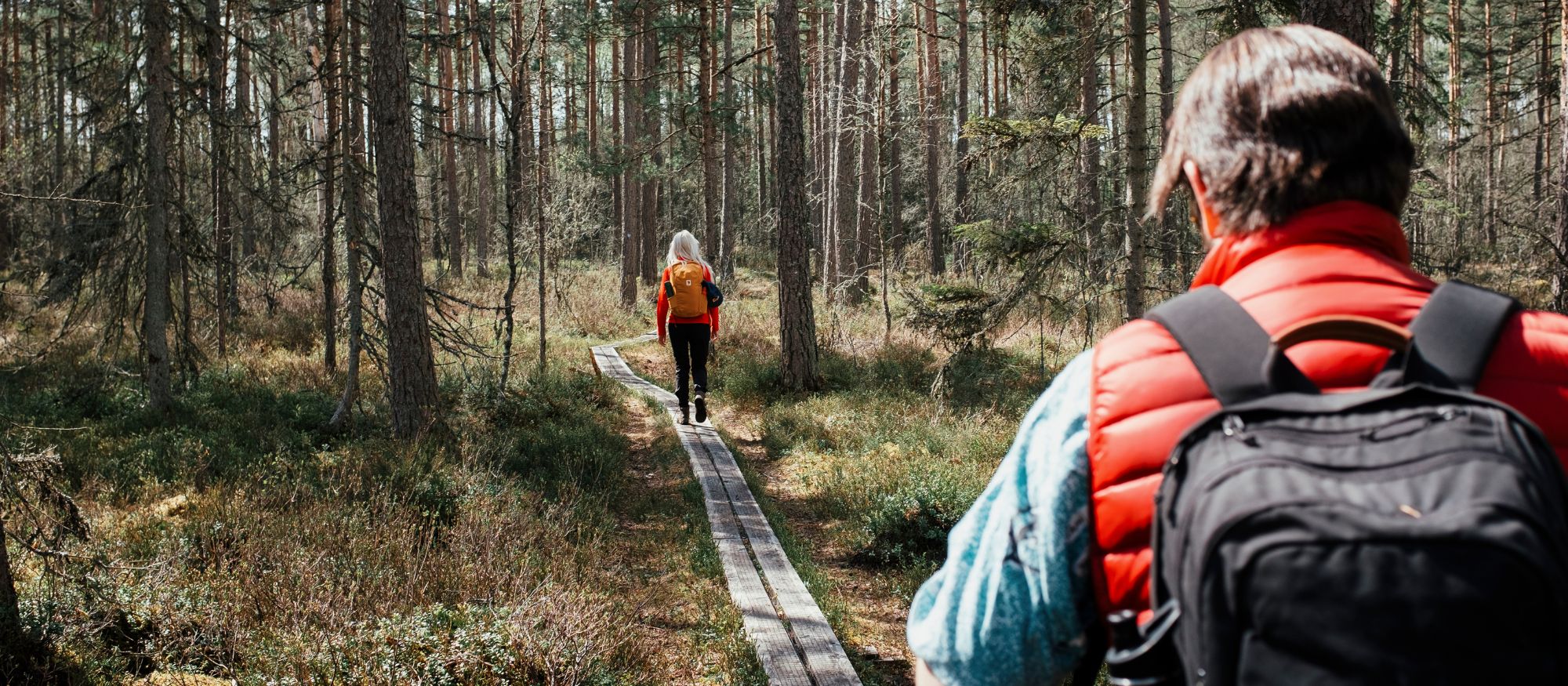 Par vandrar i skogen