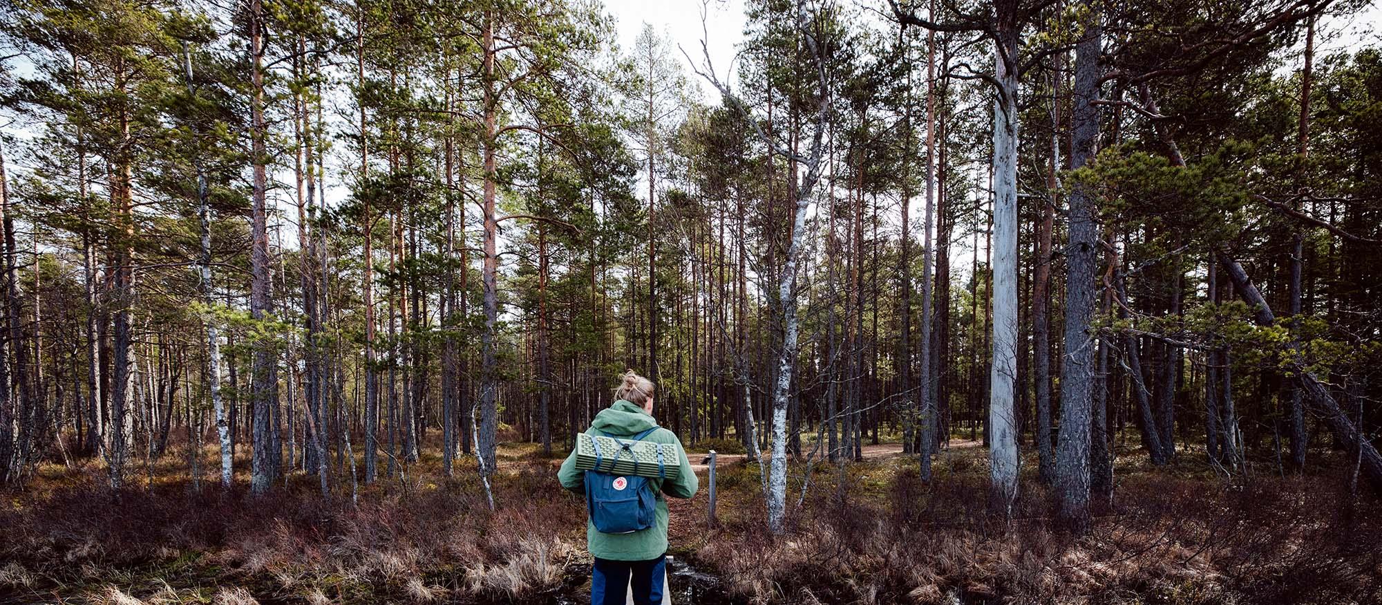 Guy in the forest hiking