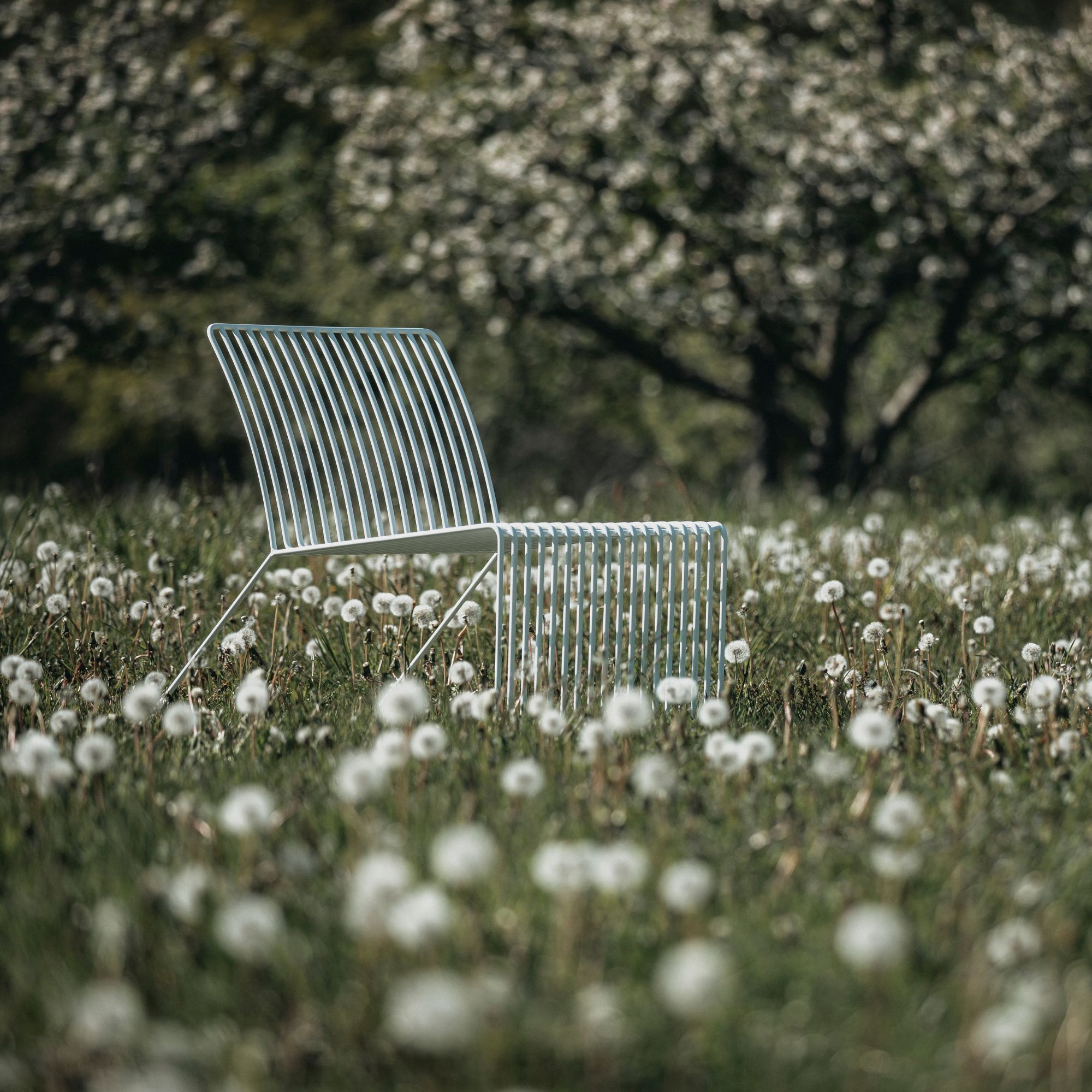 Vit loungestol i grön natur