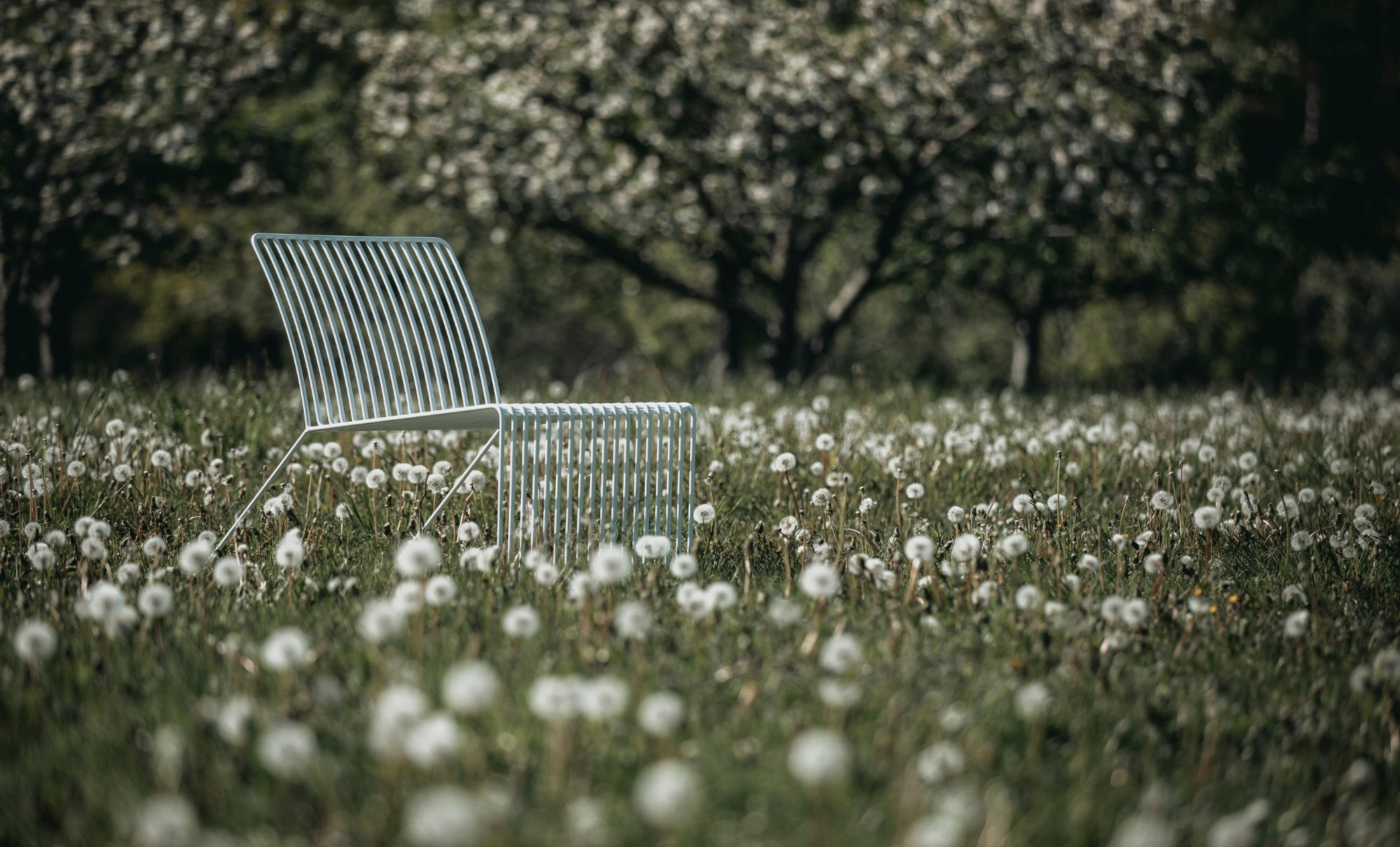 Vit loungestol i grön natur